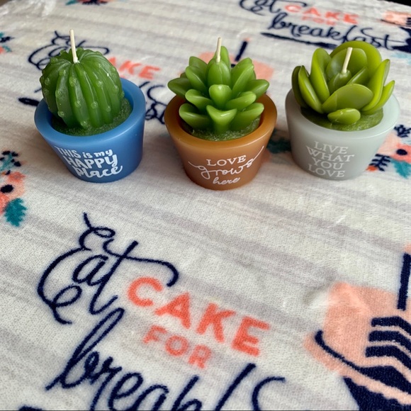 🌵 Cactus Succulent Decorative Candles 🌵 - Picture 4 of 7